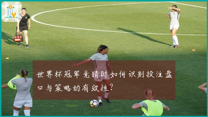 世界杯冠军竞猜时如何识别投注盘口与策略的有效性？