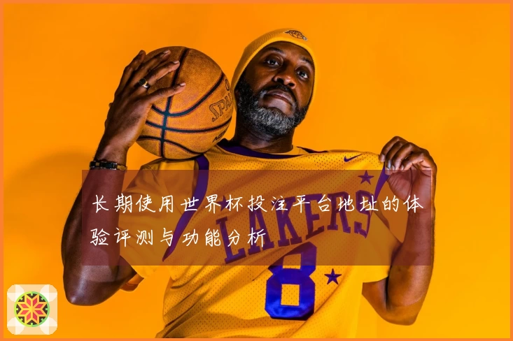 长期使用世界杯投注平台地址的体验评测与功能分析