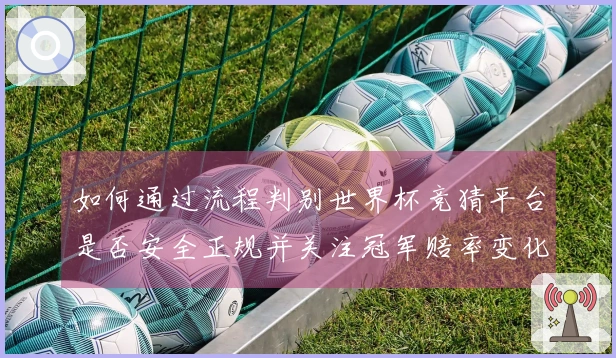 如何通过流程判别世界杯竞猜平台是否安全正规并关注冠军赔率变化