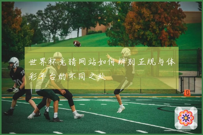 世界杯竞猜网站如何辨别正规与体彩平台的不同之处