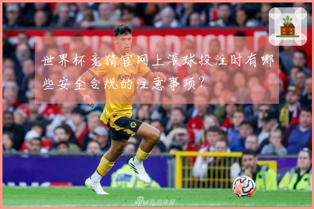 世界杯竞猜官网上滚球投注时有哪些安全合规的注意事项?