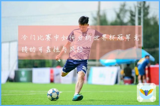 冷门比赛中如何分析世界杯冠军竞猜的可靠性与风险
