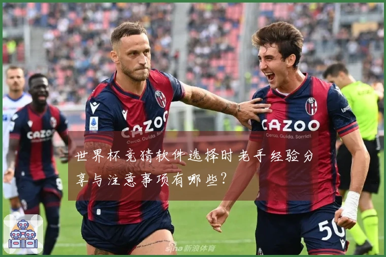 世界杯竞猜软件选择时老手经验分享与注意事项有哪些?