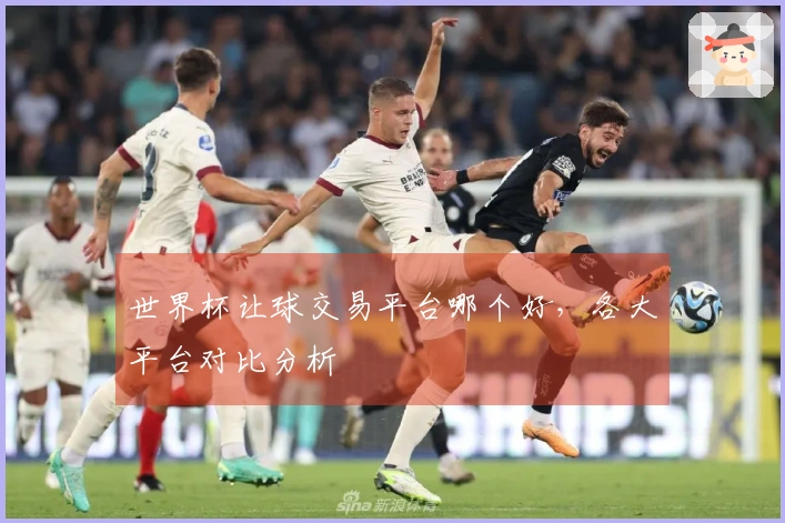 世界杯让球交易平台哪个好,各大平台对比分析