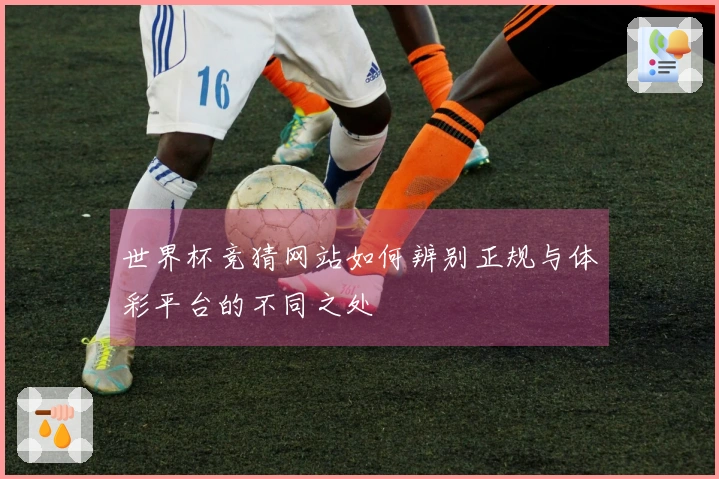 世界杯竞猜网站如何辨别正规与体彩平台的不同之处