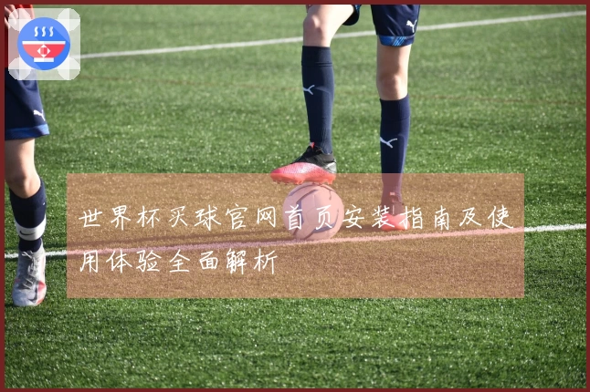 世界杯买球官网首页安装指南及使用体验全面解析