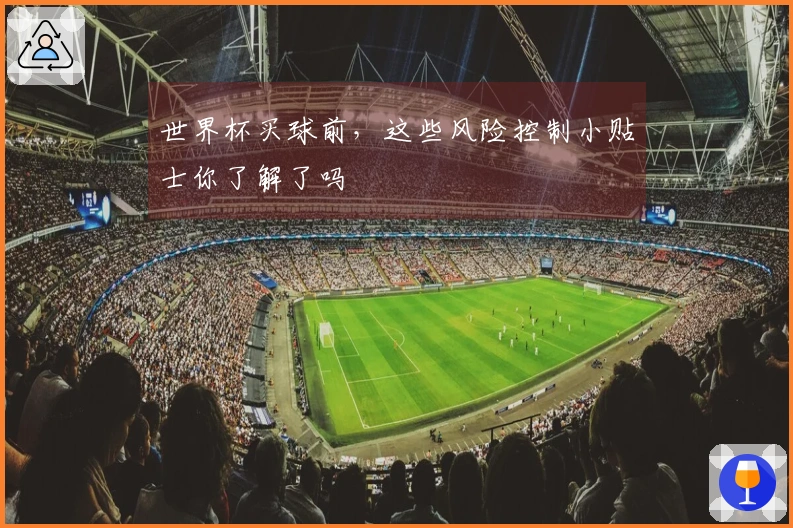 世界杯买球前,这些风险控制小贴士你了解了吗