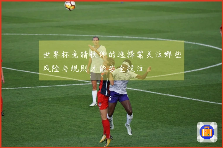 世界杯竞猜软件的选择需关注哪些风险与规则才能安全投注