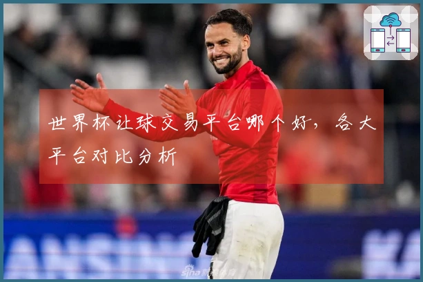 世界杯让球交易平台哪个好，各大平台对比分析