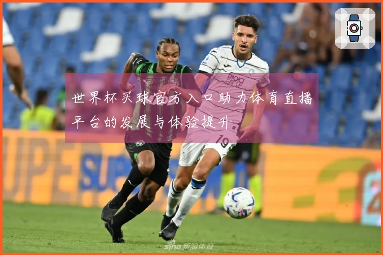 世界杯买球官方入口助力体育直播平台的发展与体验提升
