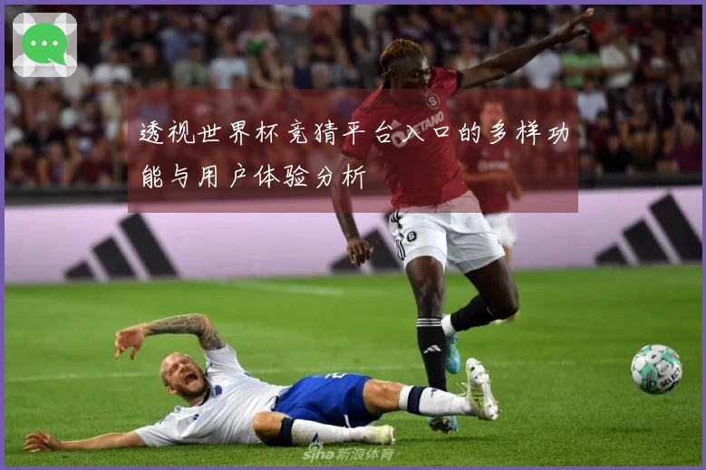 透视世界杯竞猜平台入口的多样功能与用户体验分析