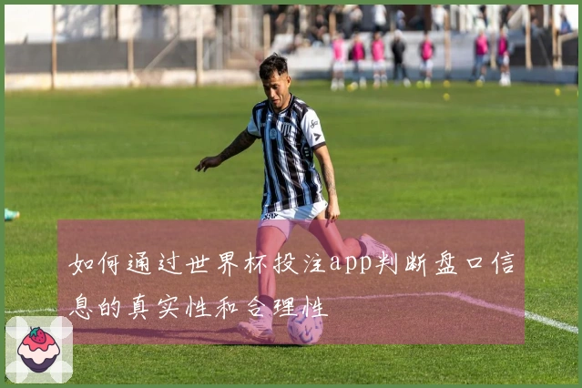 如何通过世界杯投注app判断盘口信息的真实性和合理性