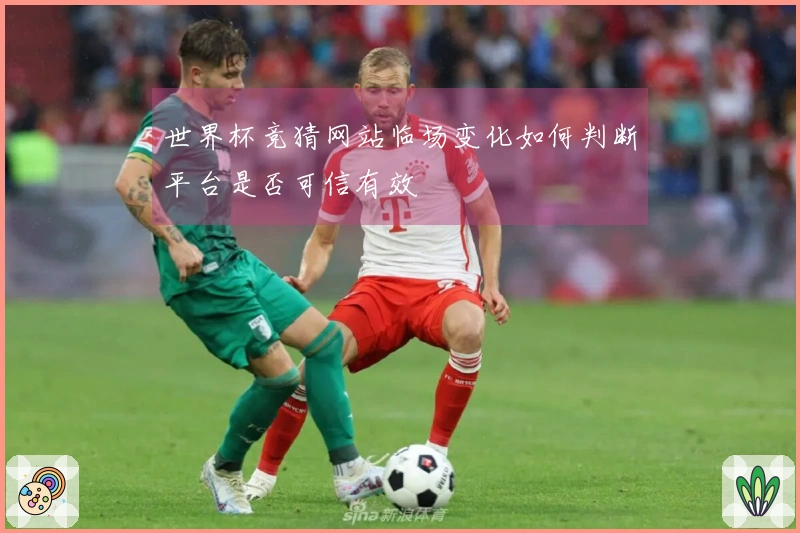 世界杯竞猜网站临场变化如何判断平台是否可信有效