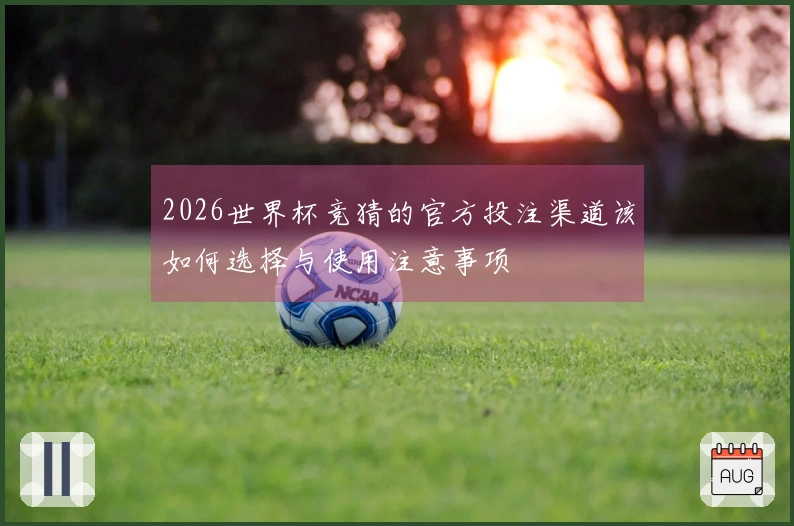 2026世界杯竞猜的官方投注渠道该如何选择与使用注意事项