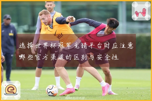 选择世界杯冠军竞猜平台时应注意哪些官方渠道的区别与安全性