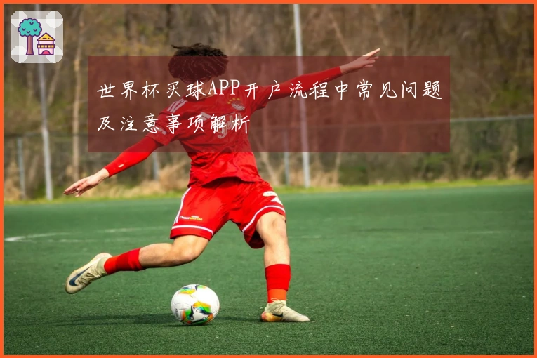 世界杯买球APP开户流程中常见问题及注意事项解析
