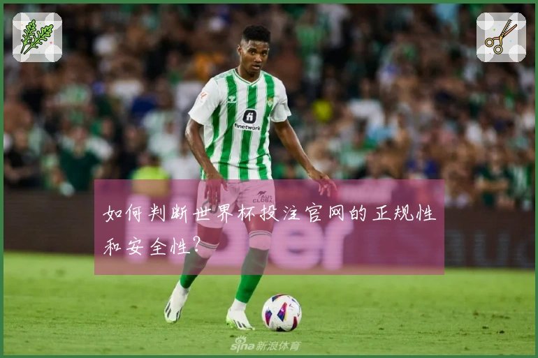 如何判断世界杯投注官网的正规性和安全性？