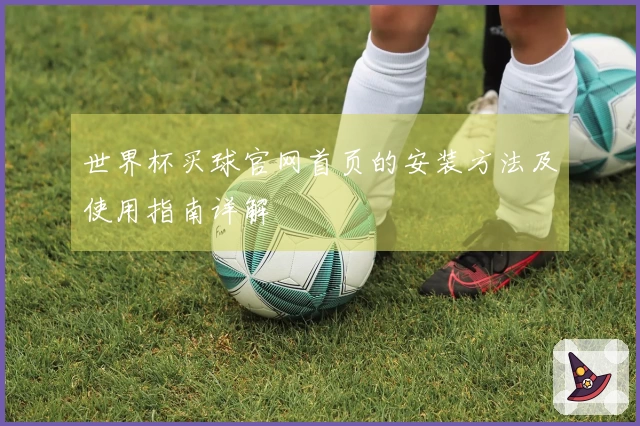 世界杯买球官网首页的安装方法及使用指南详解