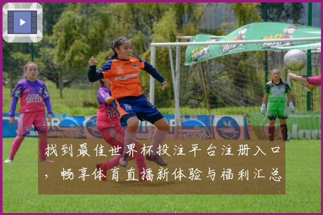 找到最佳世界杯投注平台注册入口，畅享体育直播新体验与福利汇总