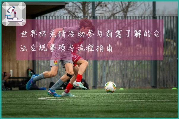 世界杯竞猜活动参与前需了解的合法合规事项与流程指南