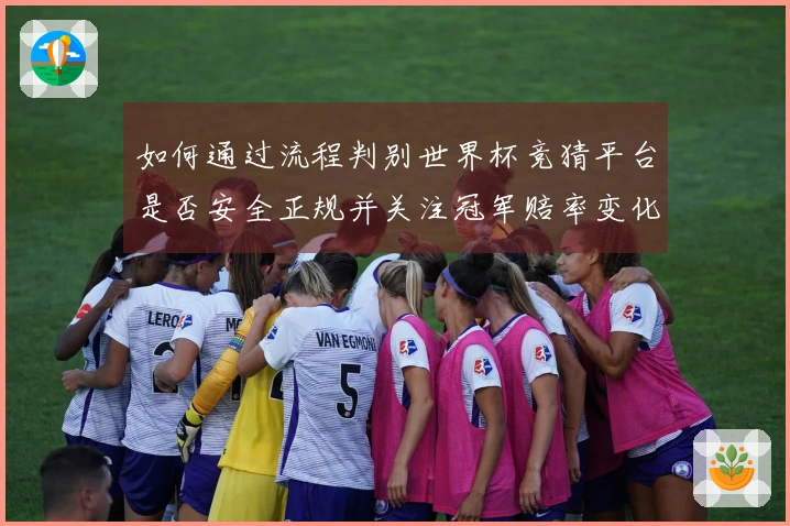 如何通过流程判别世界杯竞猜平台是否安全正规并关注冠军赔率变化