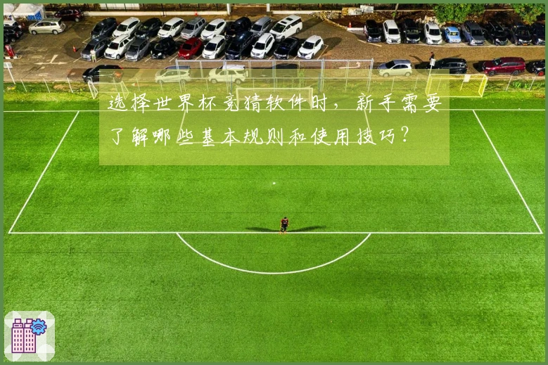选择世界杯竞猜软件时，新手需要了解哪些基本规则和使用技巧？